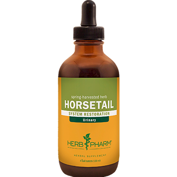 Horsetail Extract