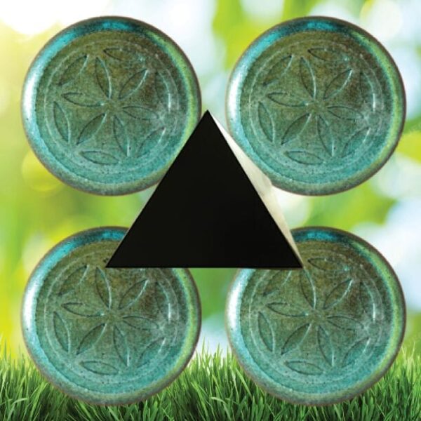 Orgonite Urban Garden Set