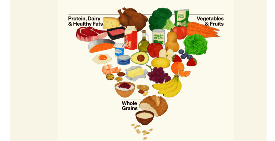 The Old Food Pyramids Are Gone: Meet the New 2026 Nutrition Blueprint
