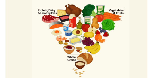 The Old Food Pyramids Are Gone: Meet the New 2026 Nutrition Blueprint