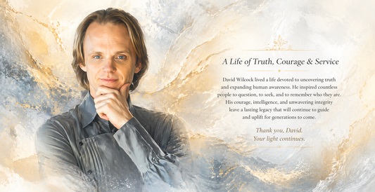 David Wilcock, Mold Exposure, and the Pattern of Decline in Complex Illness