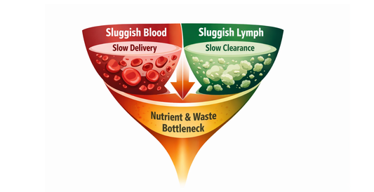 Why Most People Don’t Tolerate Detox (And What’s Actually Missing)