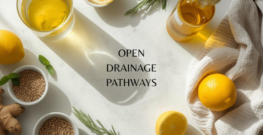 How to Reopen Detox Pathways: A Complete Guide to Drainage, Lymph, Liver, and Mitochondria