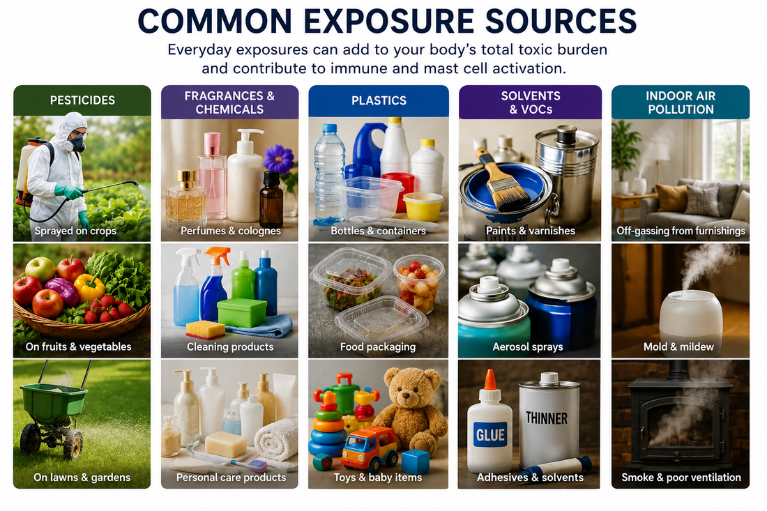What This Environmental Toxicity Screening Revealed