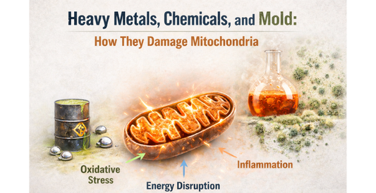 Heavy Metals, Chemicals, and Mold: How They Damage Mitochondria