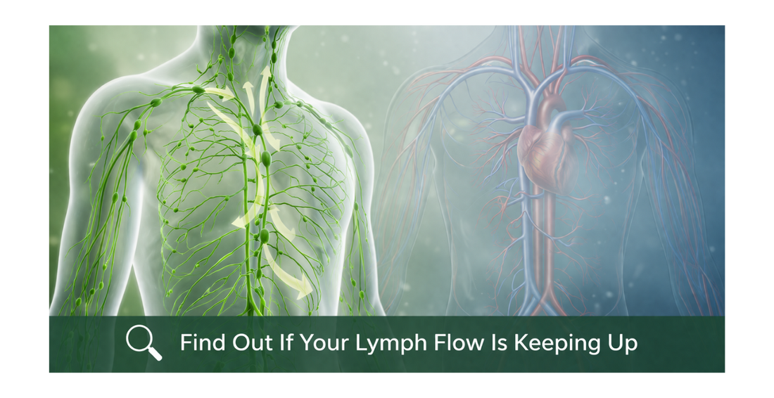 If your lymph isn’t moving, nothing else works