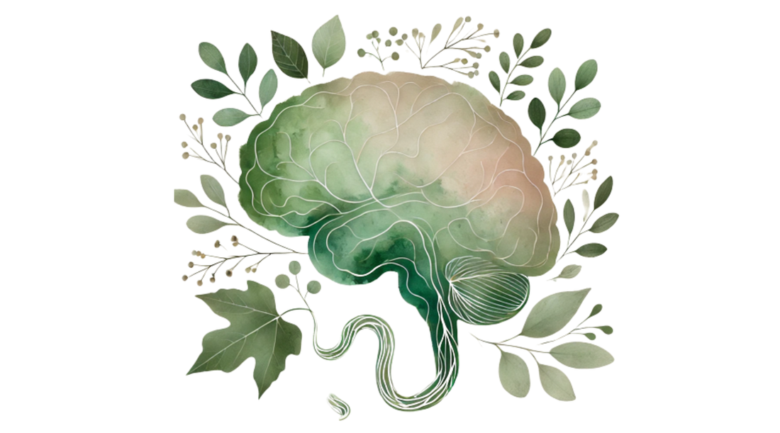 Why Your Gut Is the Missing Link in Mental Clarity and Emotional Balance