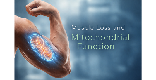 Muscle Loss Is a System Problem Not a Muscle Problem