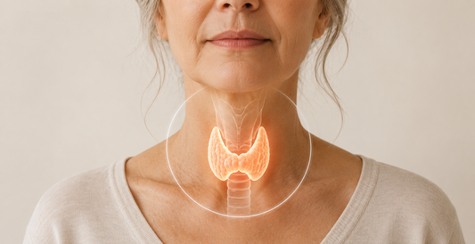 Why People Feel Exhausted and Foggy, and Suspect Thyroid