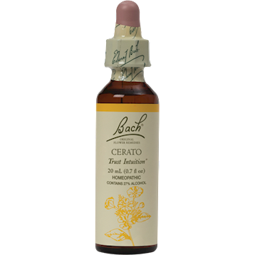 Cerato Flower Essence 20 ml