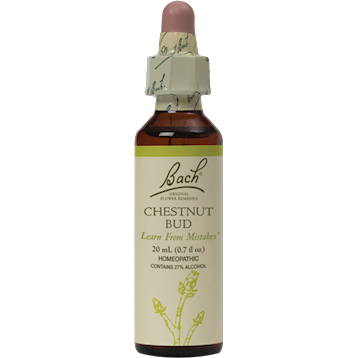 Chestnut Bud Flower Essence 20 ml