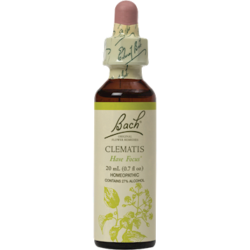 Clematis Flower Essence 20 ml