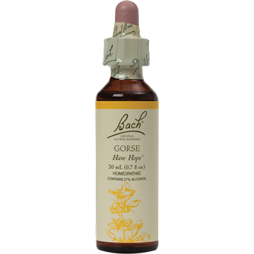 Gorse Flower Essence 20 ml