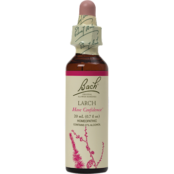 Larch Flower Essence 20 ml