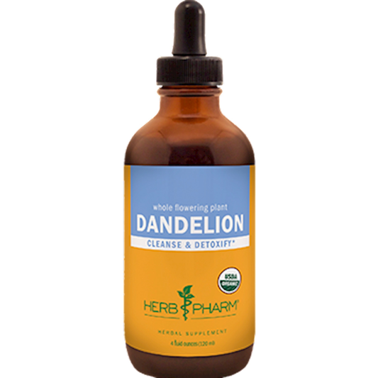 Dandelion